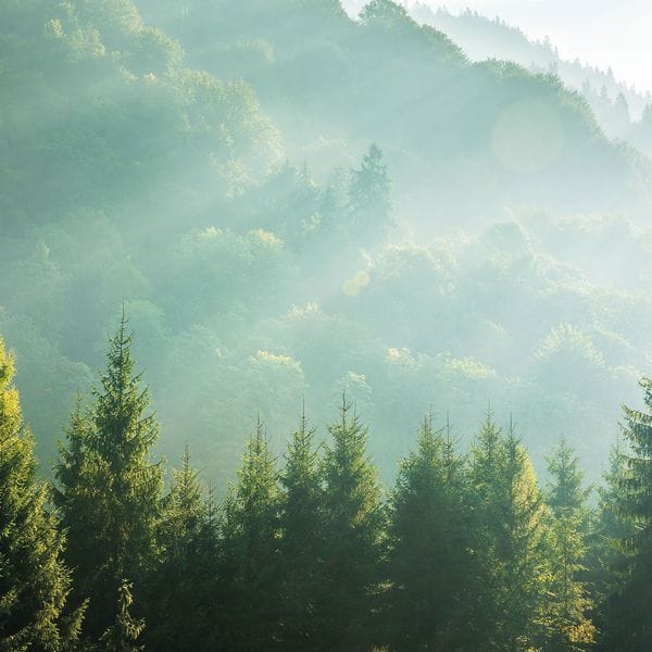 Projekt: Bergs Securities - Hero 