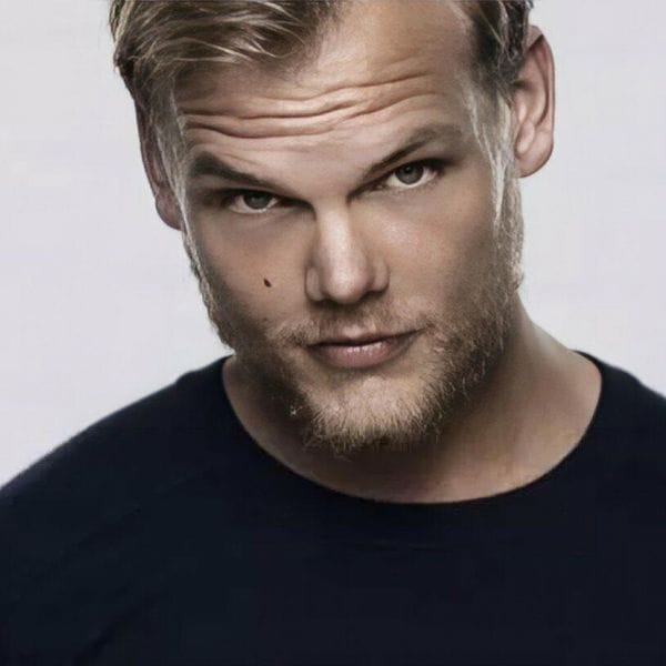 Projekt: Avicii Experience - Hero 