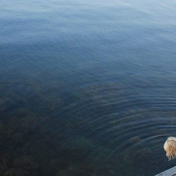 Projekt: Sjö&Hav - Hero 