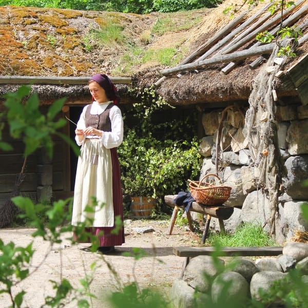 Projekt: Skansen - Hero