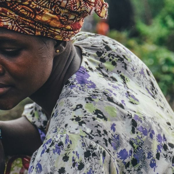 Projekt: The Hunger Project - Hero 