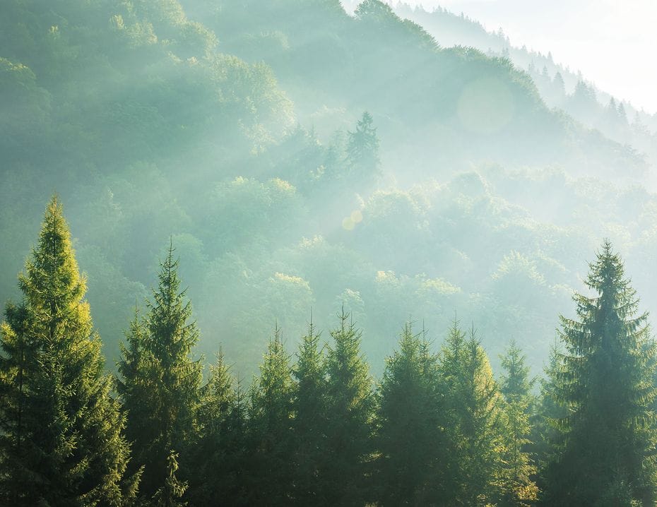 Projekt: Bergs Securities - Hero