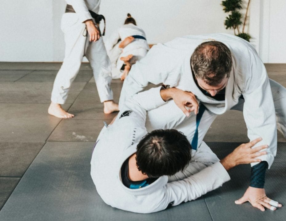 Projekt: Svenska Budo & Kampsportsförbundet - Hero