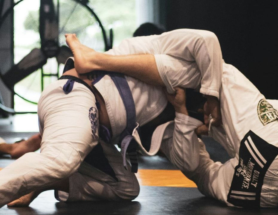 Projekt: Budo Kampsportsgalan - Hero