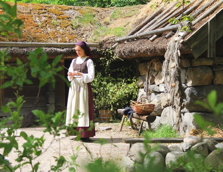 Projekt: Skansen - Hero