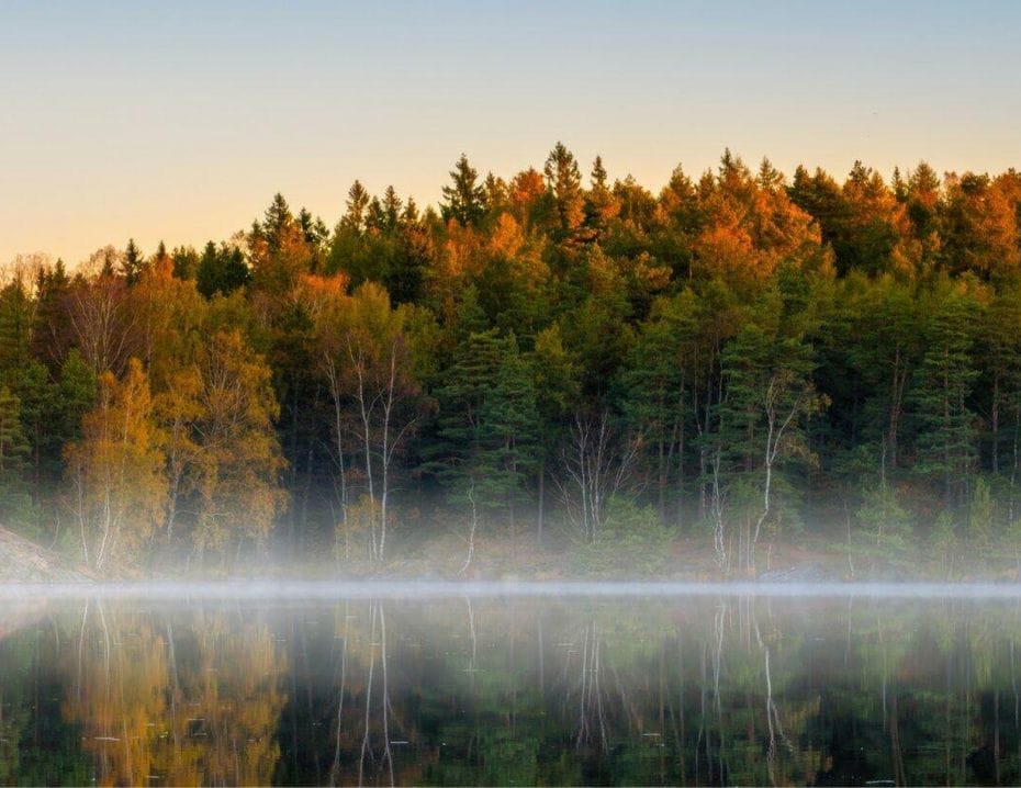 En sjö med spegelblank yta reflekterar en skogsklädd strand i höstfärger. Dimmers dimma svävar ovanför vattenytan.
