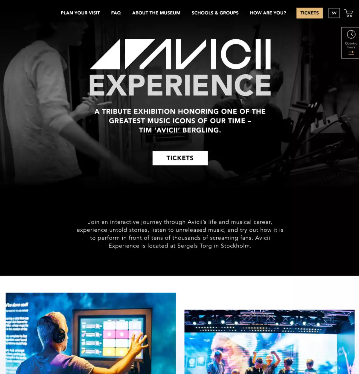 case-avicii-web