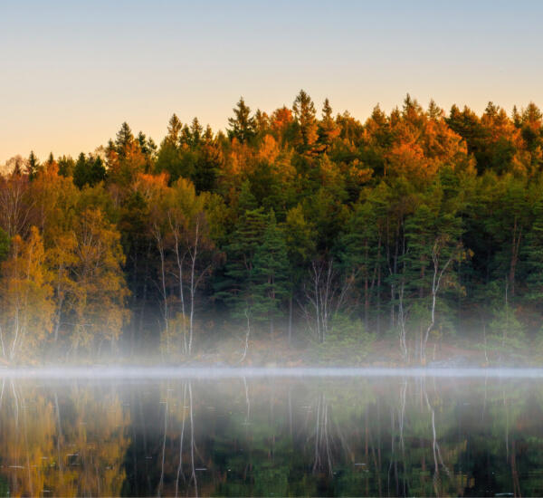 sormland-top-image